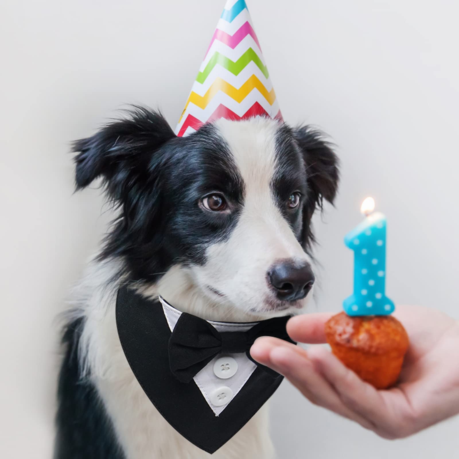 Fuamey Dog Tuxedo,Formal Dog Wedding Bandana Dog Collar With Bow Tie Dog Birthday Costume Adjustable Pet Party Tux Dog Wedding Attire,Dog Valentines Outfit Cosplay For Small Medium Large Pets Grey Xl