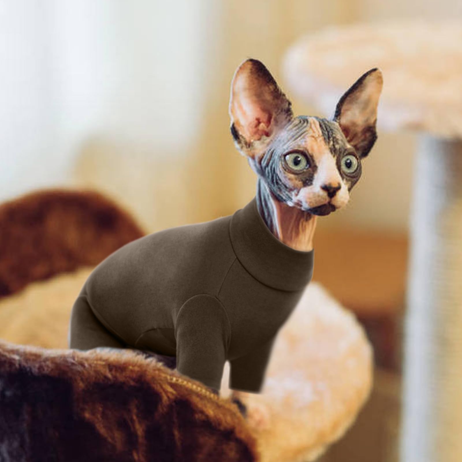 Rozkitch Cat Clothes, Breathable Soft Cat Jumpers For Hairless Cats, Devon Rex, Cornish Rex, Peterbald, Coffee Xs