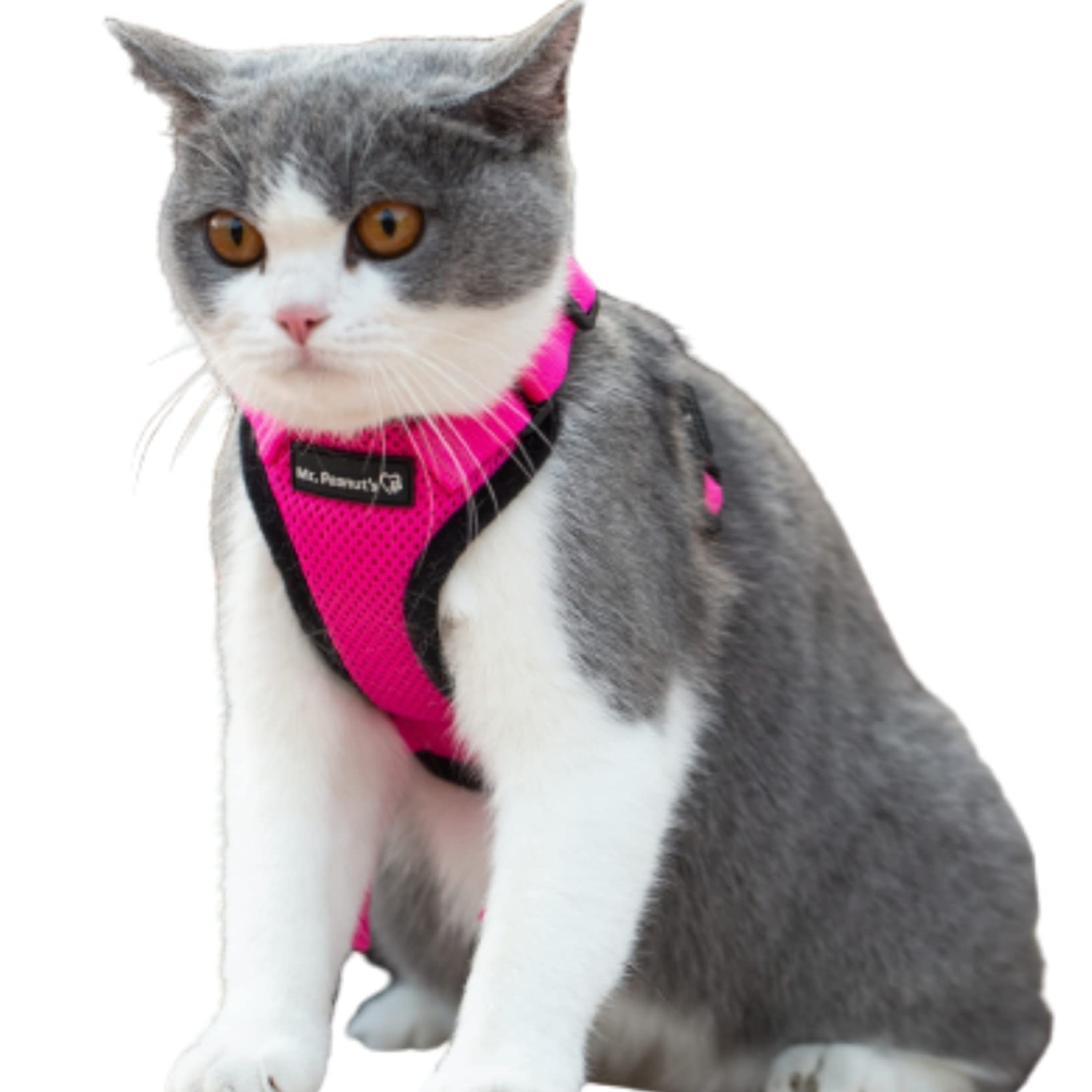 Mr. Peanut's PurrTrek Reflective Cat Harness with Matching Leash