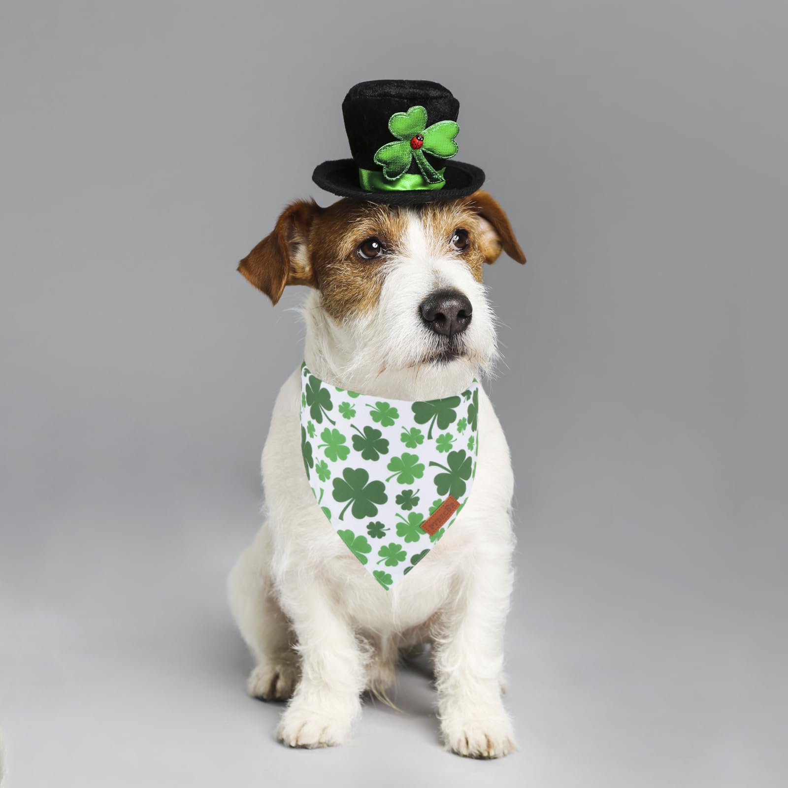 Ptdecor St. Patrick'S Day Dog Bandana, Reversible Dog Scarf, Multi Size Offered, Green Shamrock Pet Bandanas For Medium Large Do