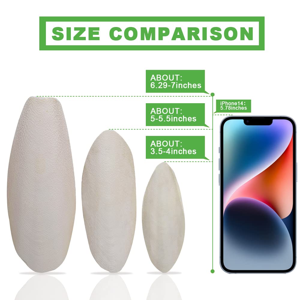 Jmxus 5-5.5 Bird Cuttlebone for Parakeets, Cuddle Bone with Metal Holder, Cuttlefish Bone for Sharp Beaks, Natural Birds Calciu