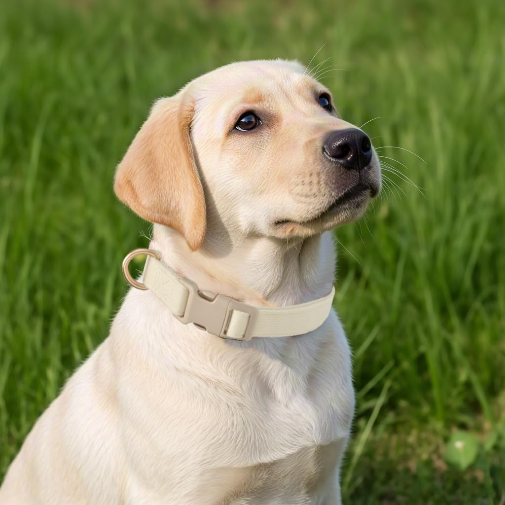 Yudote Soft Cotton Dog Collar Adjustable Corduroy Dog Collars For Small Medium Large Dogs(White,Small)