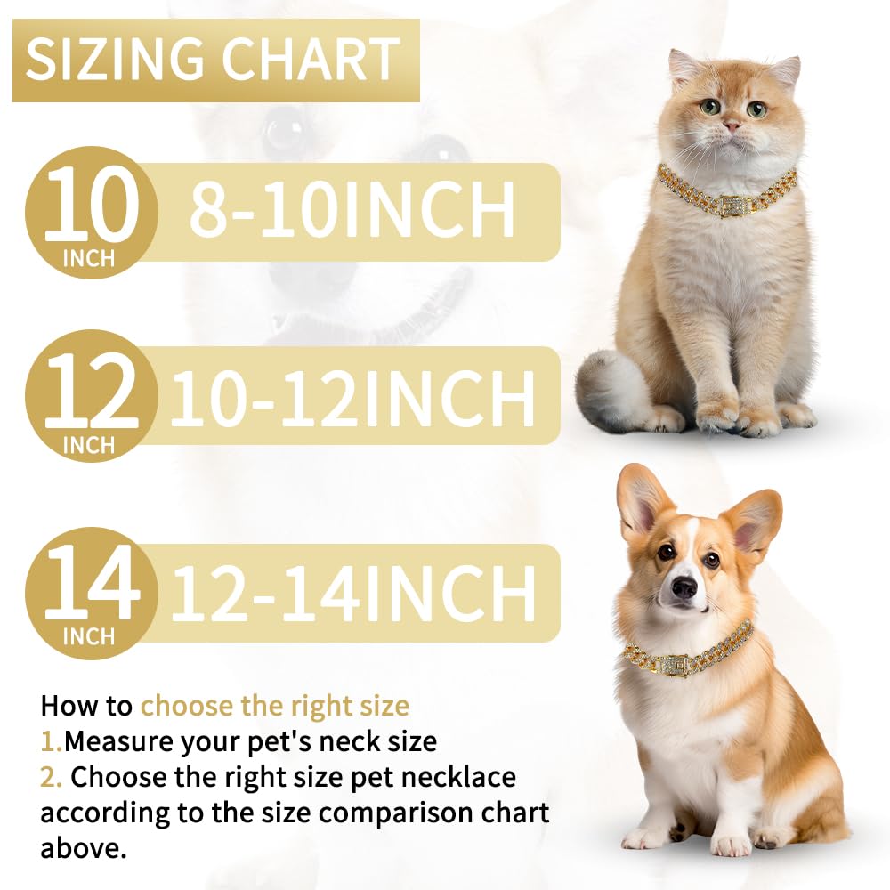 Bling Gold Cuban Link Dog Collars - Female Medium Dogs, Cat Chain Collar