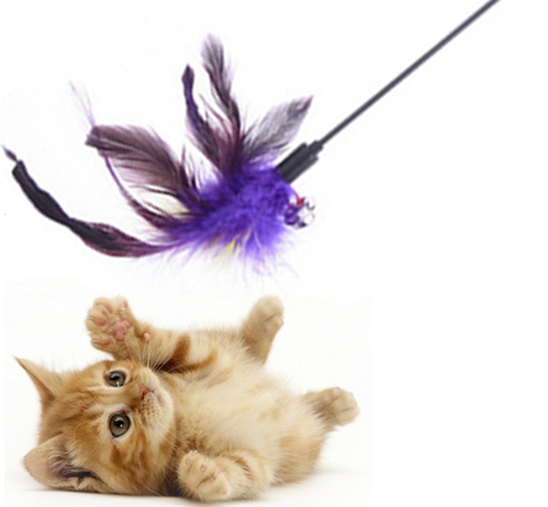 Sage Square Metal 50 Cm Jumbo Size Pet Friendly Cat Toy Feather Teaser Stick