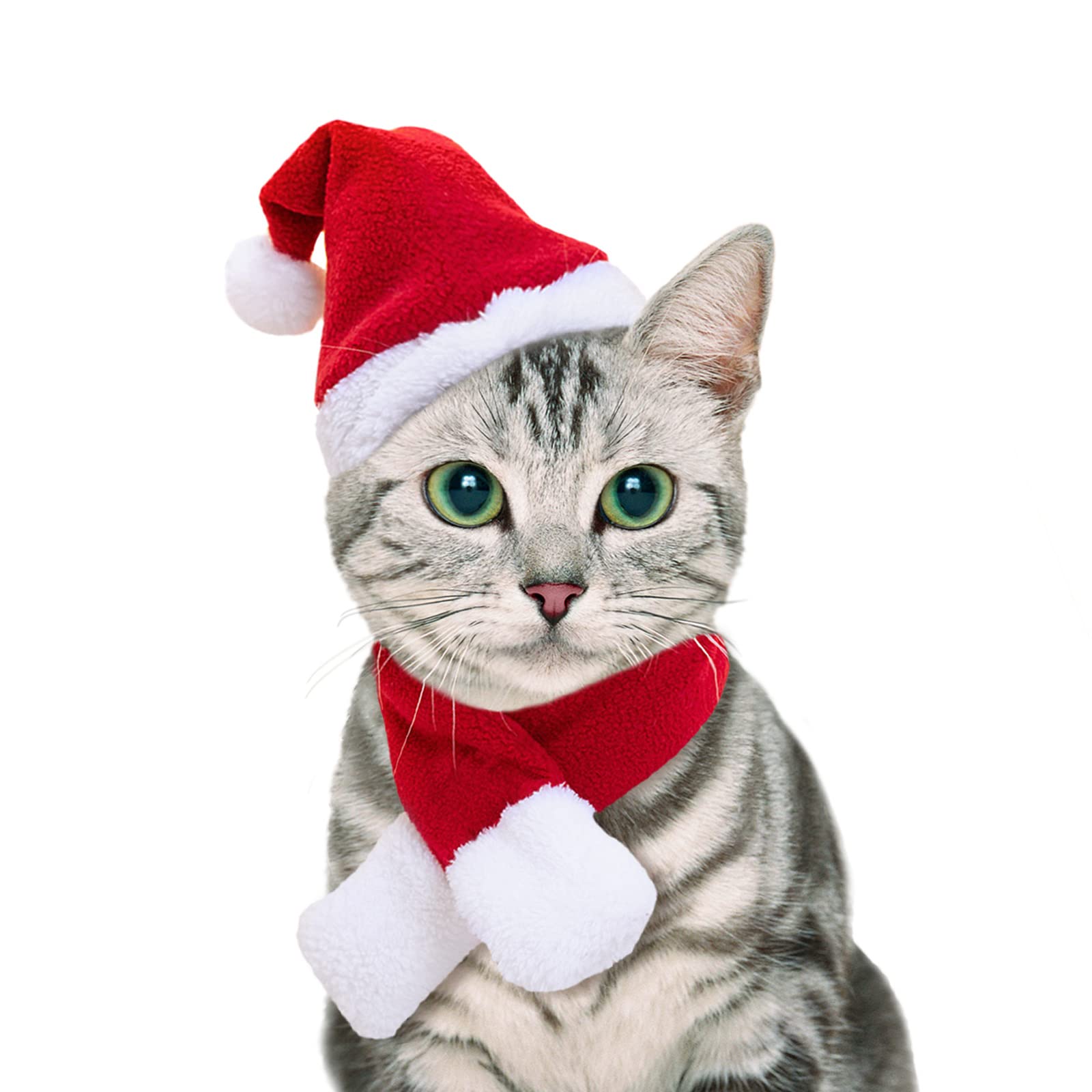 Namsan Cat Santa Hat Scarf Small Dog Christmas Costume Xmas Outfit Santa Claus Hat With Red Muffler For Kitten, Doggy, Rabbit, S