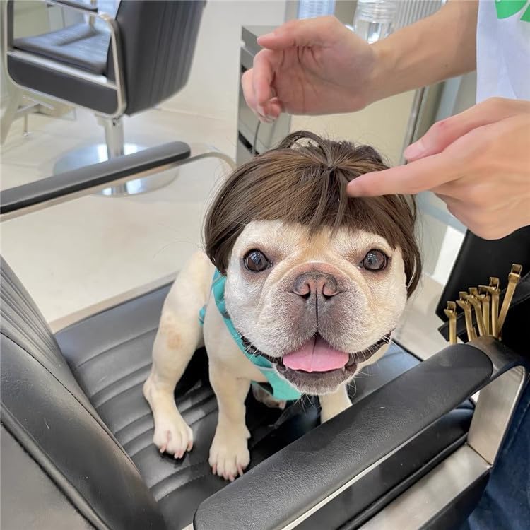 Funny Dog Wig For Small Medium Large Dogs With Free Head Flower, Trimmable Pet Costume Cat Cosplay Decoration For Halloween, Christmas, Parties