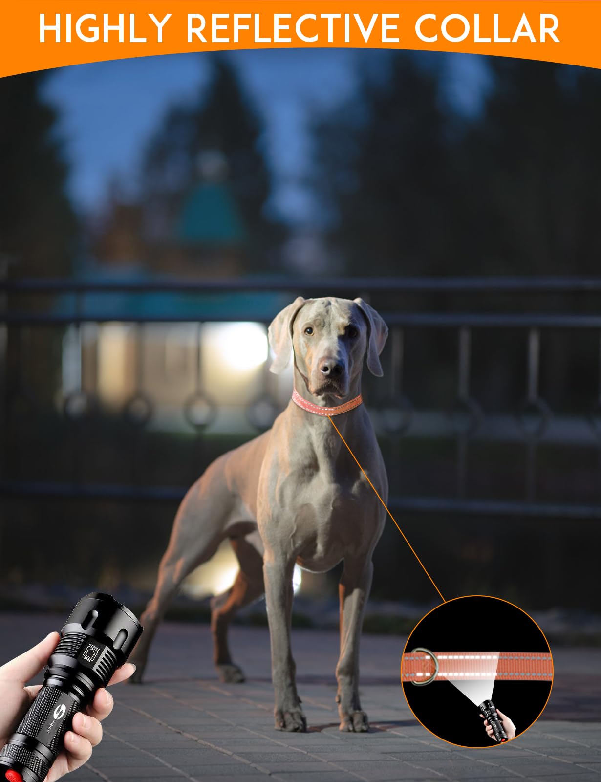 PaiPaitek 3/4 Inch Adjustable Dog Collar, E-Collar Replacement Strap Fit All Brands of Shock Training Collars and Bark Collars -