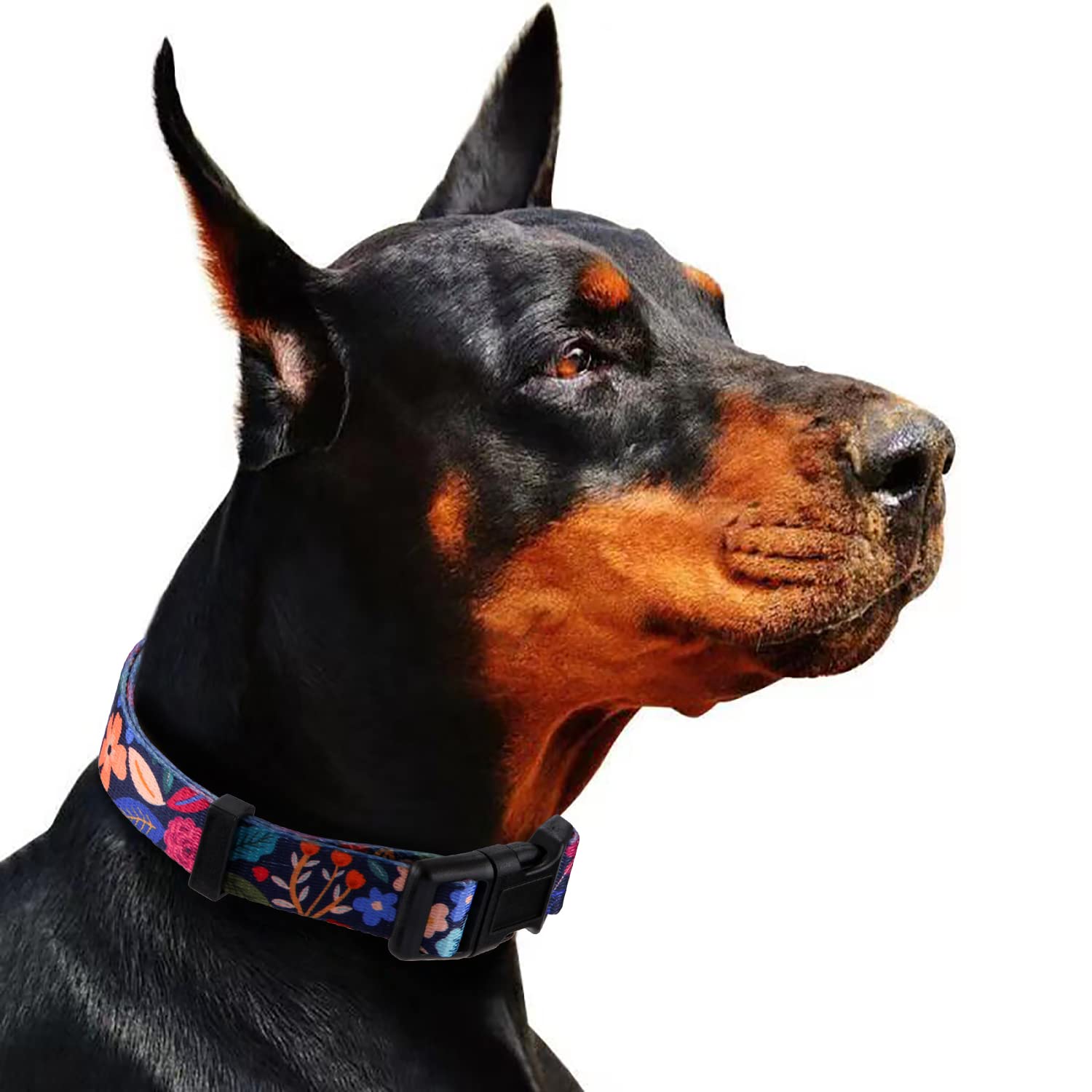 Rhea Rose Dog Collar For Small Dogs Special Design Cute Floral Plant Pattern Girl Female Pet Collar (Black, S)