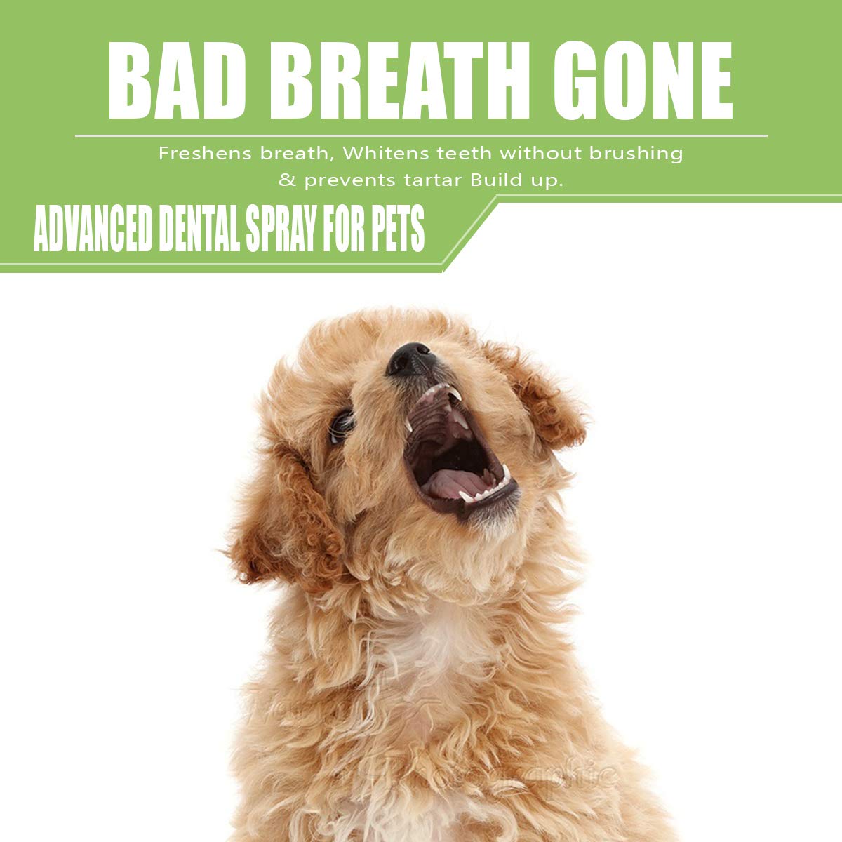 Sonnyridge Dog Dental Spray Removes Tartar, Plaque and Freshens Breath Instantly. The Most Advanced Dental Spray for Healthy Tee