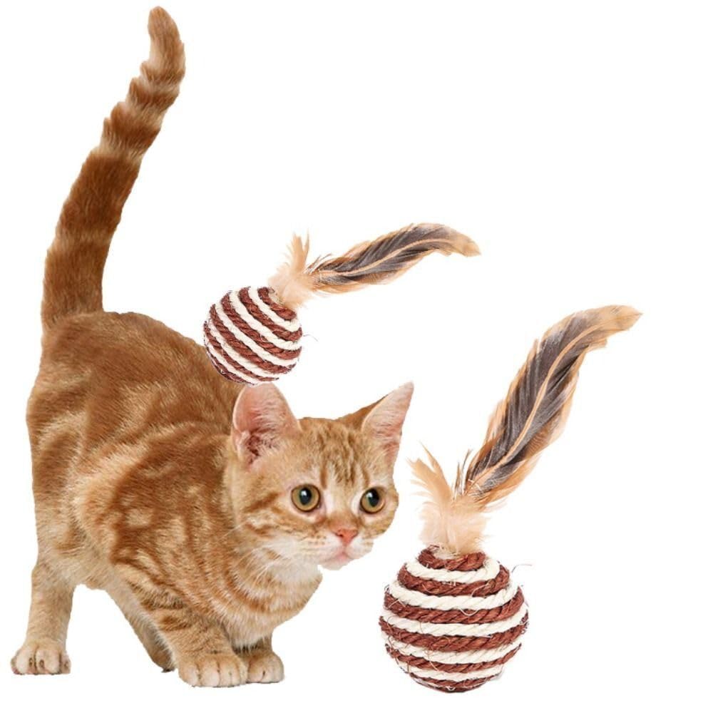 The Dds Store 2 Pcs Interactive Kitten Games Toys Sisal Ball Cat Training Catcher Cat Playing Toy (Color May Vary)