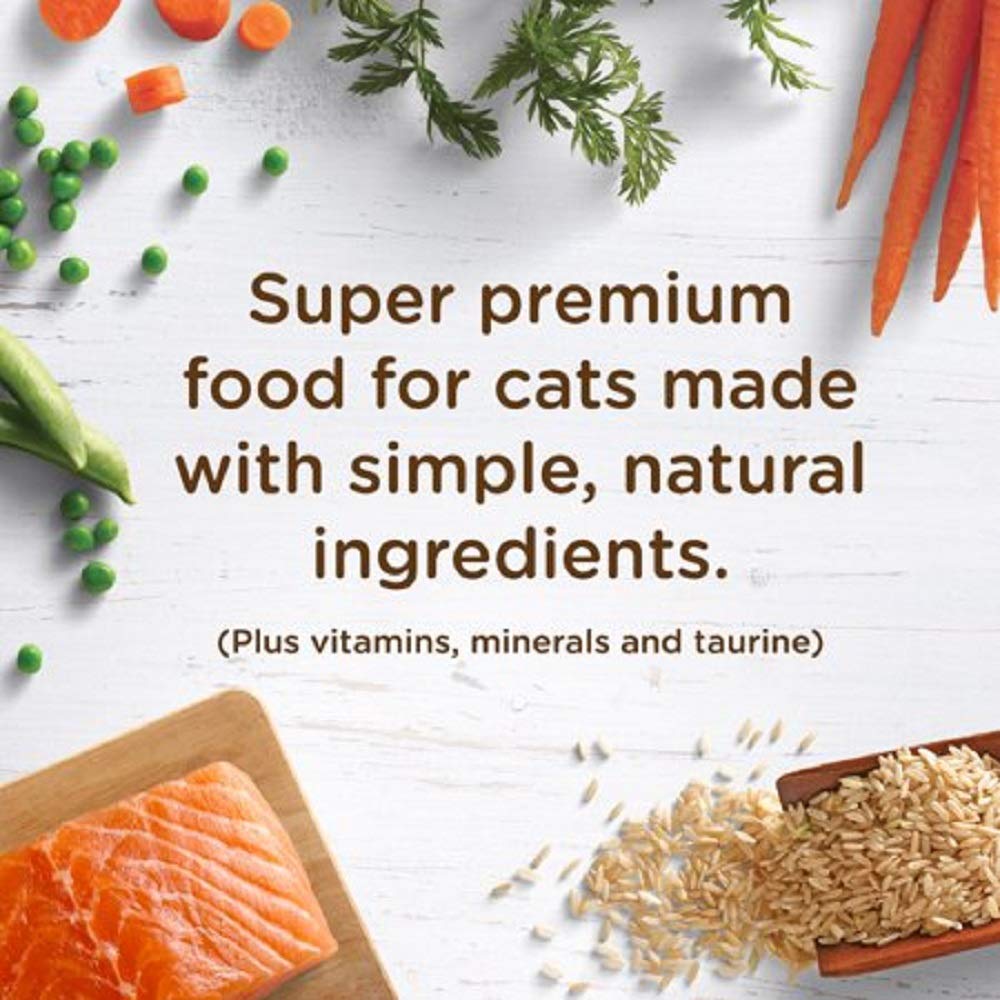 Rachael Ray Nutrish Premium Natural Dry Cat Food, Real Salmon & Brown Rice Recipe, 6 Pounds (Packaging May Vary)