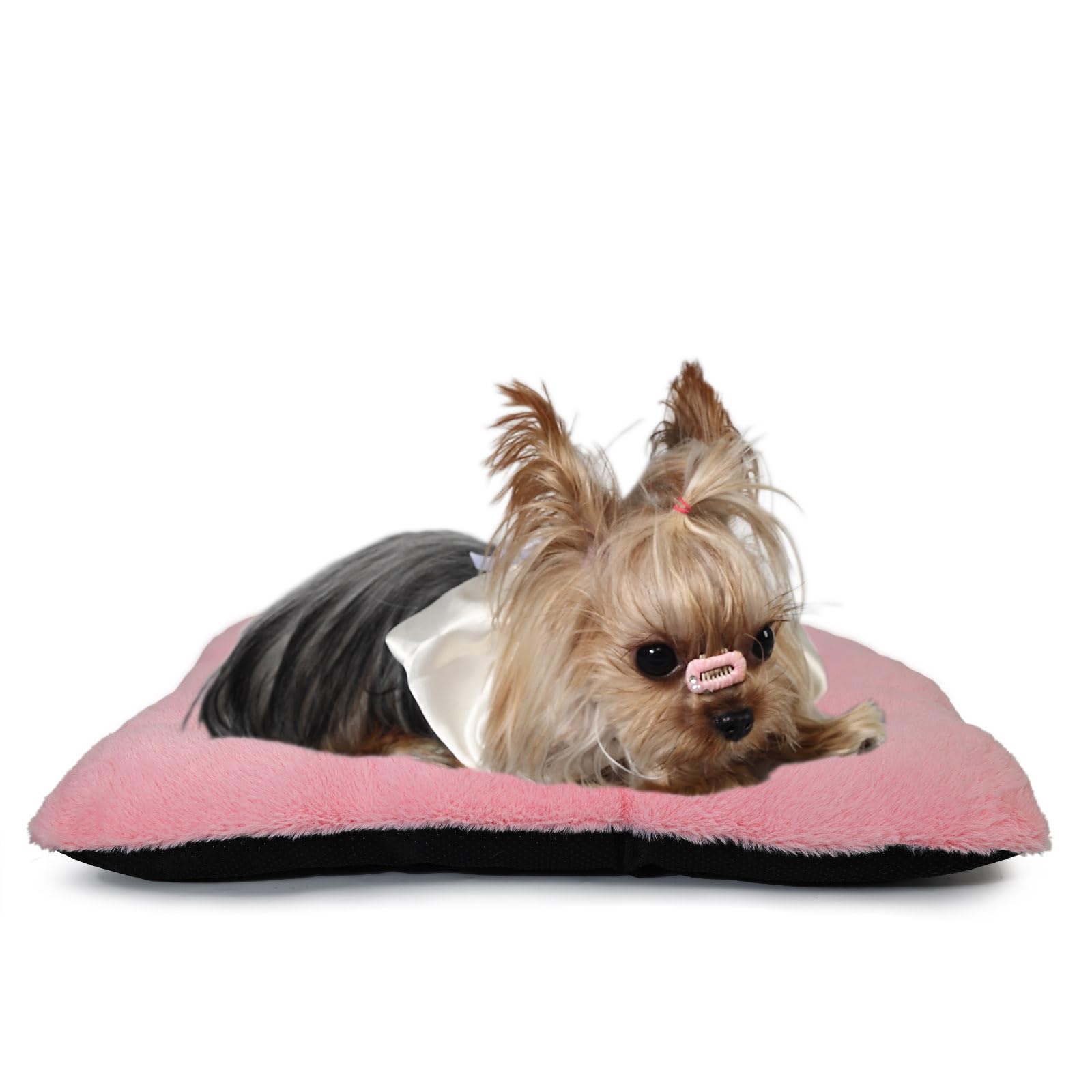 Wrkfree Dog Crate Bed 18 Inch Ultra Soft Pet Bed Washable Crate Mat For Toy Dogs Breed And Indoor Cat Ideal For Dog Crates 18 X 