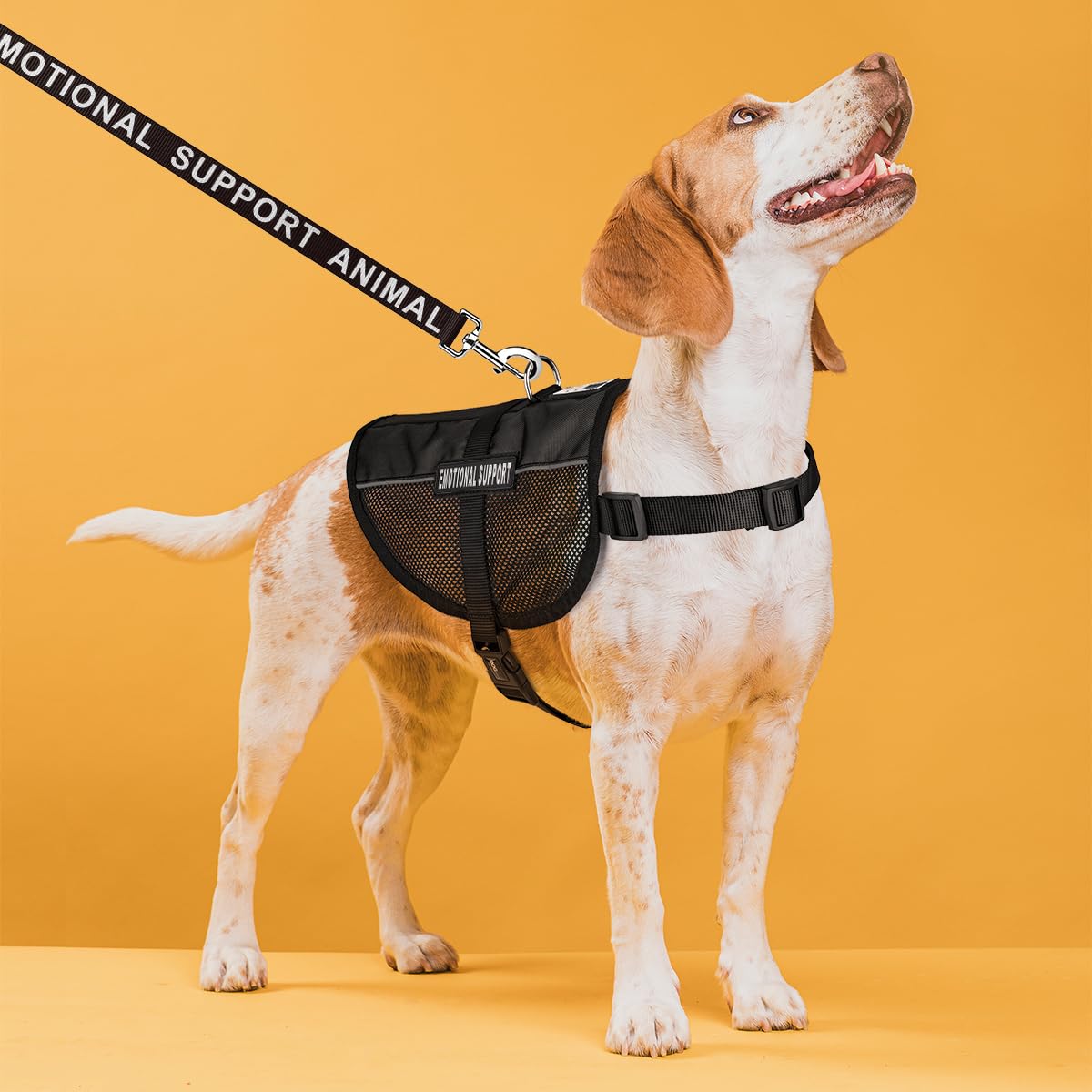 Dogline Emotional Support Dog Vest Bundle With Adjustable Service Dog Vest Harness, Reflective Emotional Support And Esa Patches, Emotional Support Leash, Emotional Support Animal Id Card
