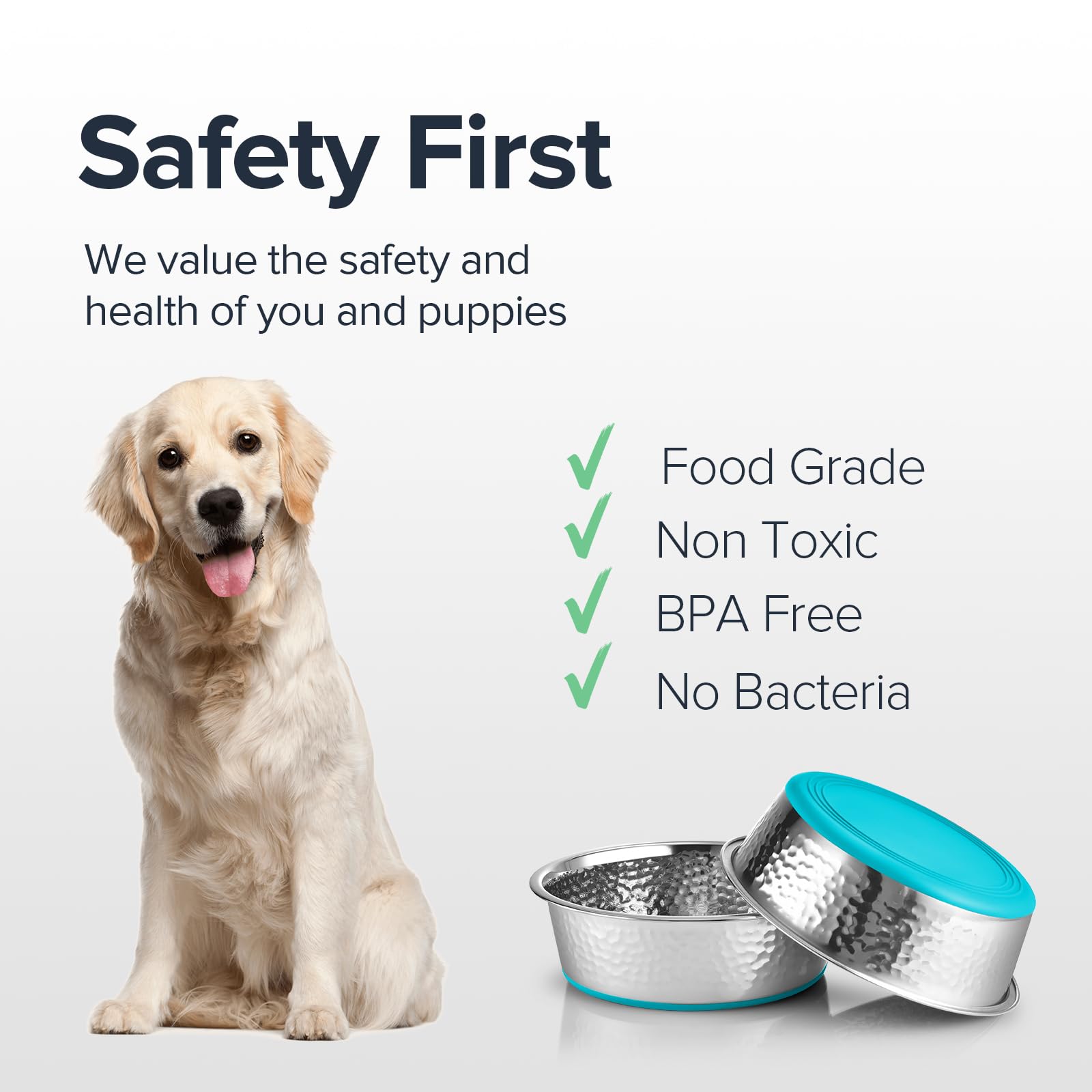 Urbuddies 2 Pack Hammered Stainless Steel Dog Bowls, 8 Cup, Turquoise Bottom