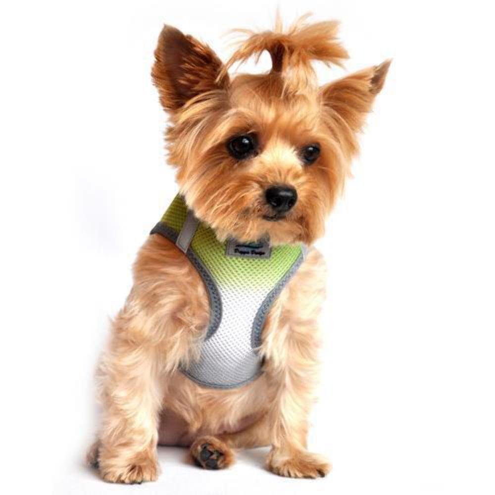 American River Dog Harness Ombre Collection - Limestone Gray XL