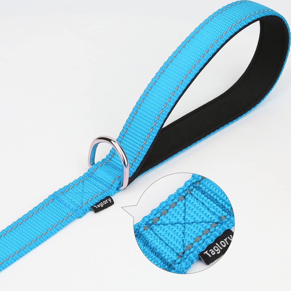 Taglory Nylon Dog Leash 6Ft, Soft Padded Handle Pet Reflective Leashes For Medium Large Dogs Walking & Training, Sky Blue