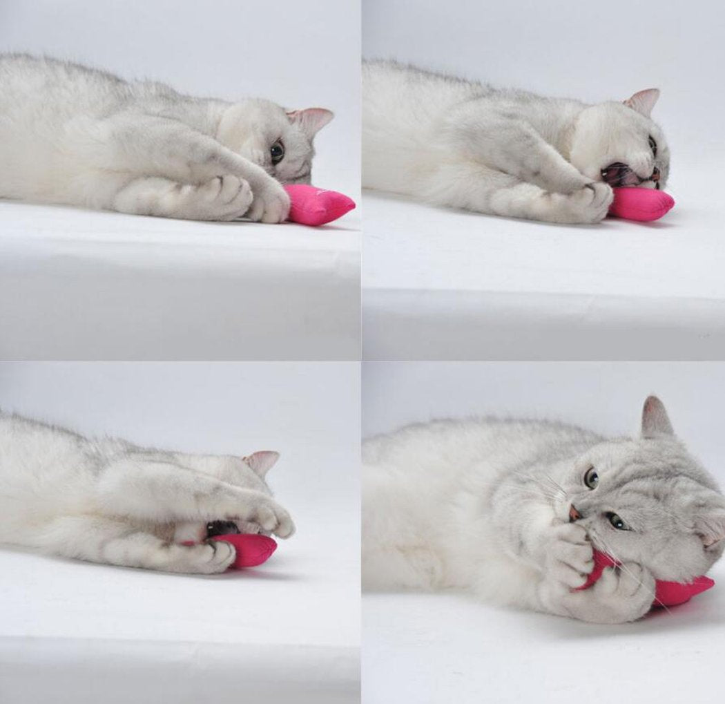 Legendog 5Pcs Bite Resistant Catnip Toys For Cats,Catnip Filled Cartoon Mice Cat Teething Chew Toy (Multicolored)