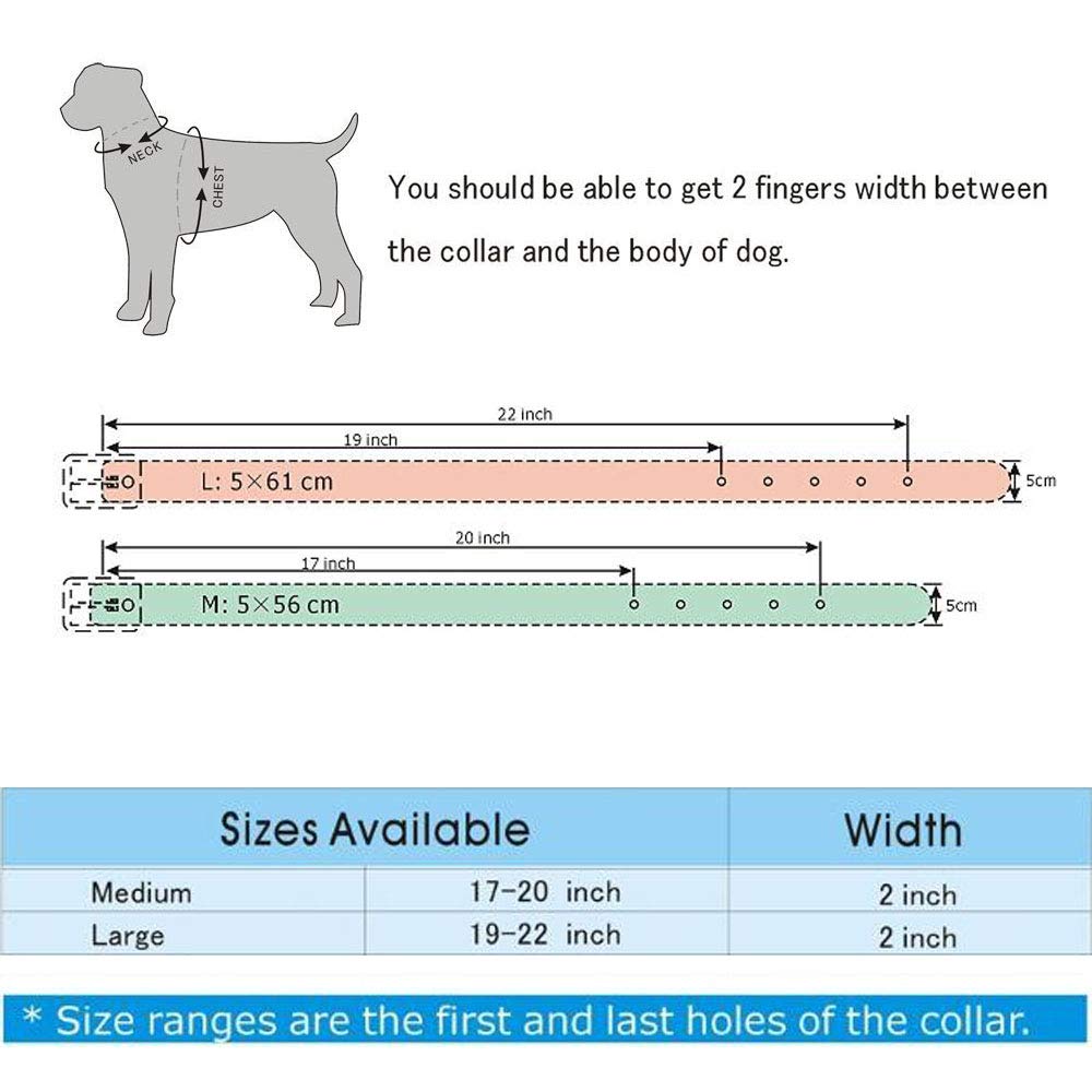 Haoyueer 2' Wide Leather Studded Dog Collar Chain Leash Combo Set Pet Supply For Medium Large Pitbull Husky Mastiff Terrier(Gold Brown,L)