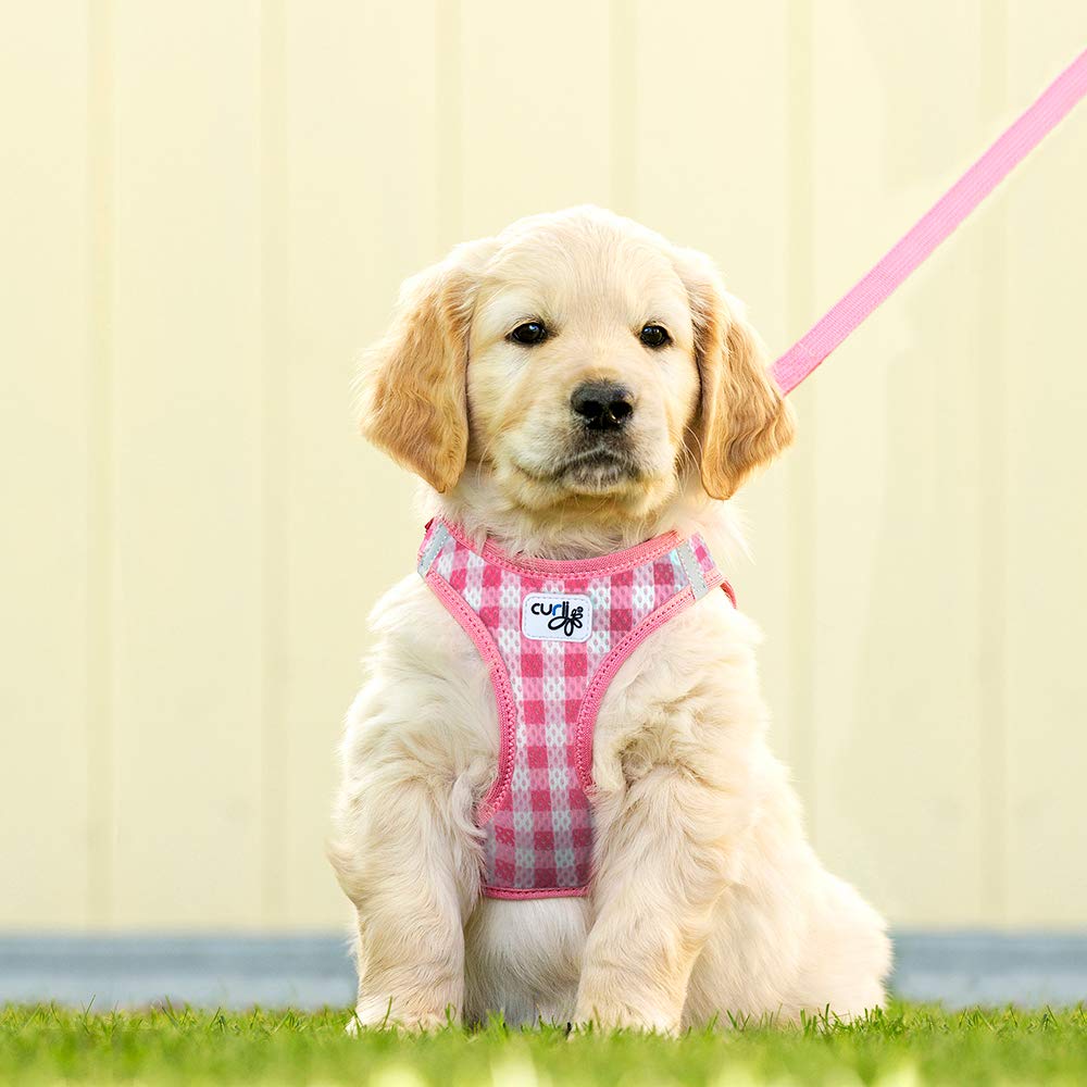 Curli Puppy Harness Vest Air Mesh with Lead
