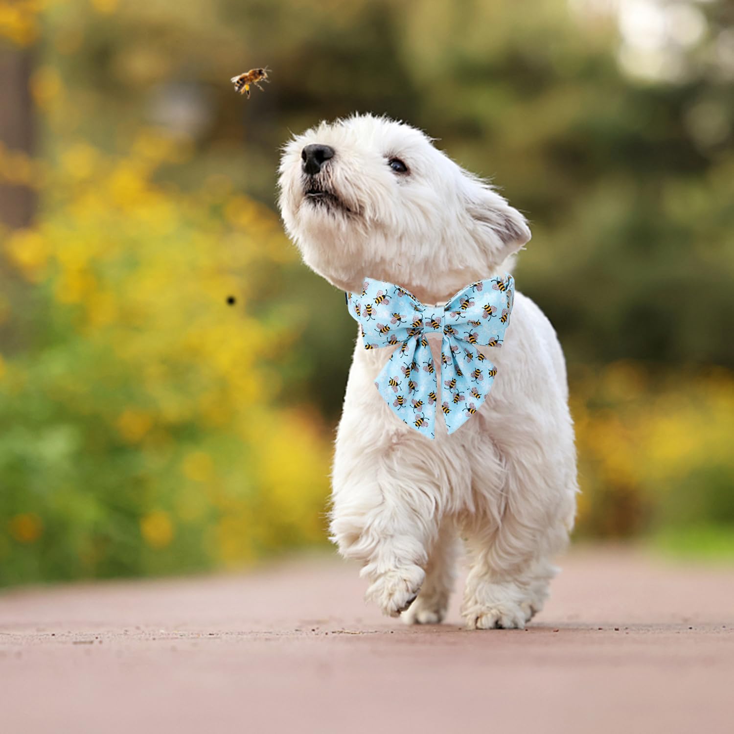 Maca Bates Blue Bee Dog Collar With Bow Bowtie For Dogs Sailor Bow Tie Adjustable Breakaway Cute Collars Accessories Gift For Sm
