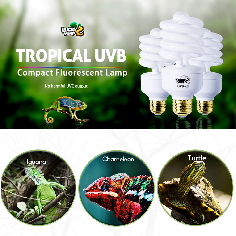 Lucky Herp Reptile Uva Uvb Light 5.0 26W Compact Fluorescent Tropical Terrarium Lamp