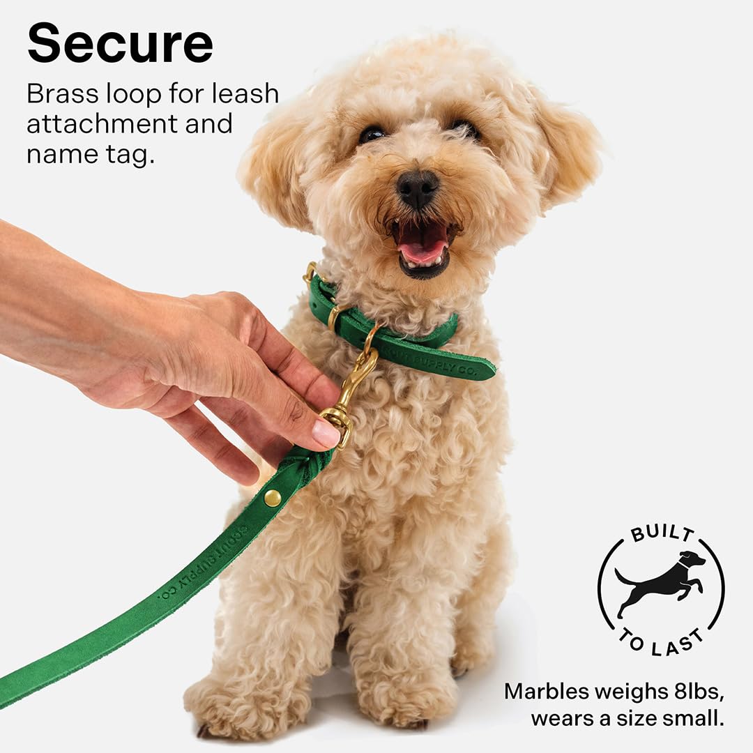 Scout Supply Classic Leather Dog Collar | Heavy Duty Thick Full Grain Leather | Waterproof & Rust-Proof Brass Hardware (Green, X