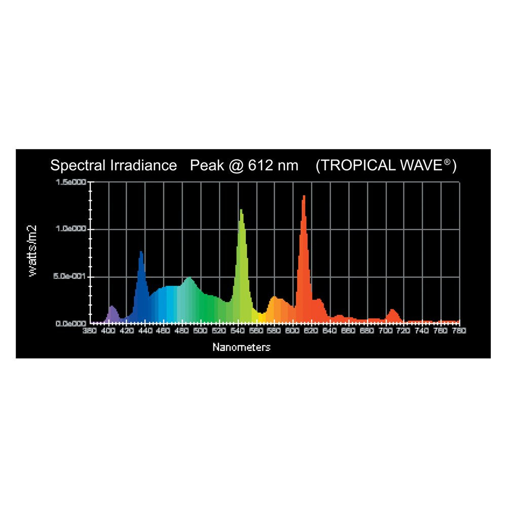Wave Point 2-Pack Tropical Wave Ho T-5 24-Watt Universal Aquarium Lamp