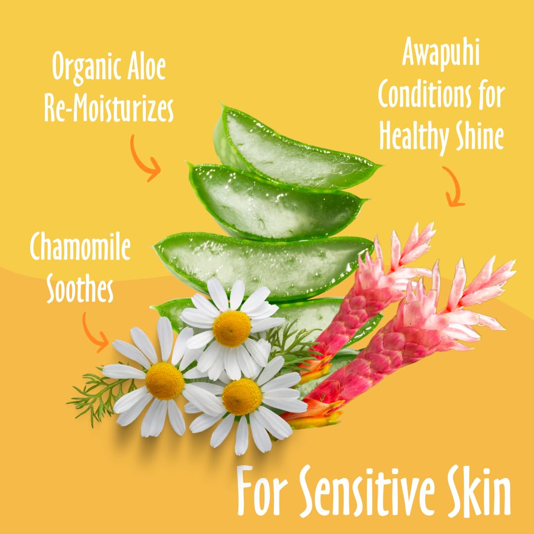 Earthbath Dog Grooming Wipes - Dog Wipes For Paws And Butt, Pet Wipes For Dogs & Cats, Helps Itchy & Dry Skin -Fragrance Free, 100 Count (1 Pack)