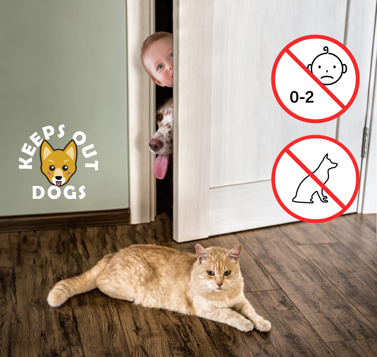 Cat Door Latch Holder,?8 Adjustable Sizes? Stronger Flex Cat Door Stopper, Keep Door Open 1.5'' To 8'', Let'S Cats In And Keeps