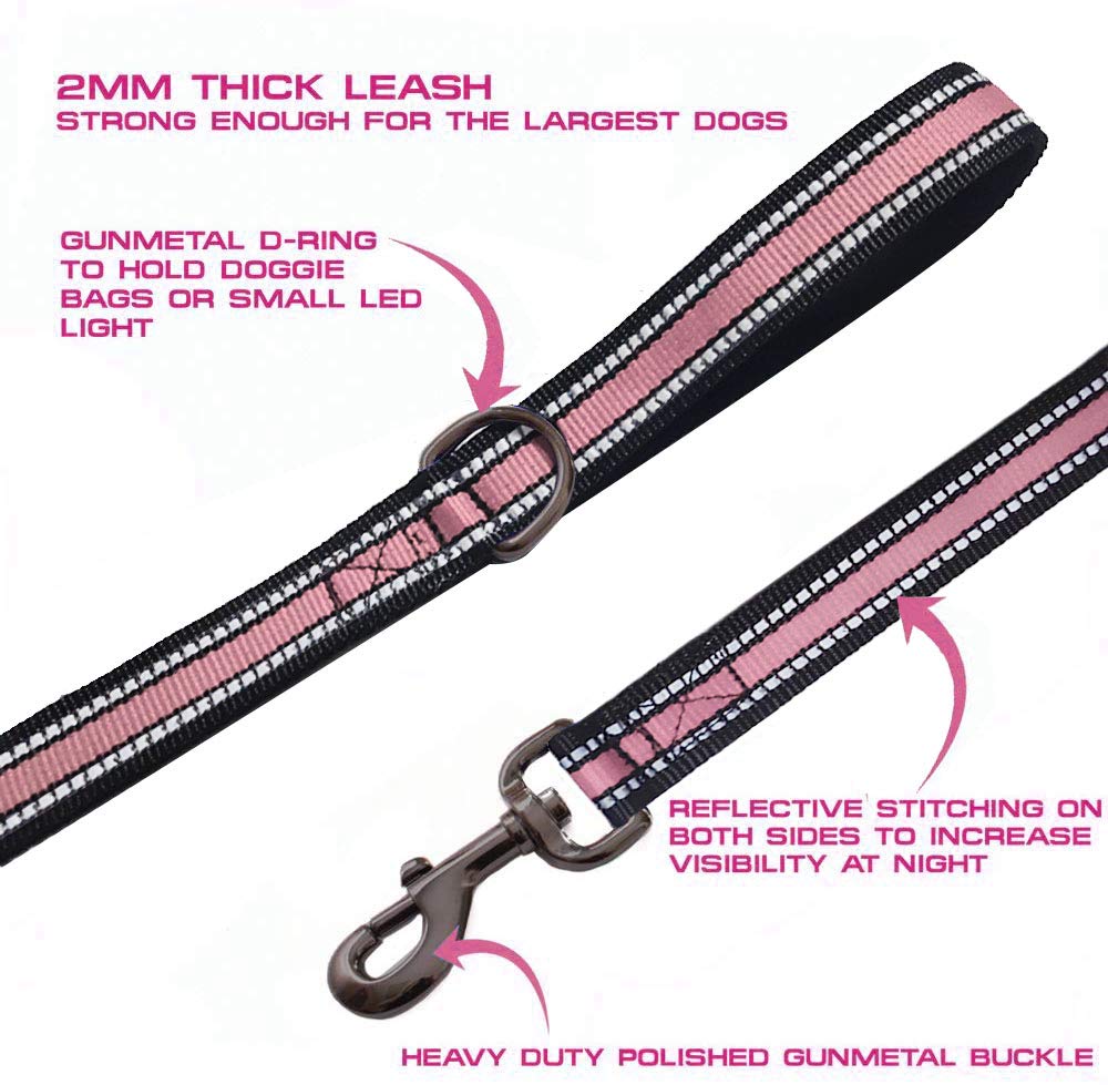 Jsxd Dog Leash,5 Ft Heavy Duty Double Handle Dog Leash With Comfortable Padded And Reflective,Rope Dog Leashes For Small,Medium,