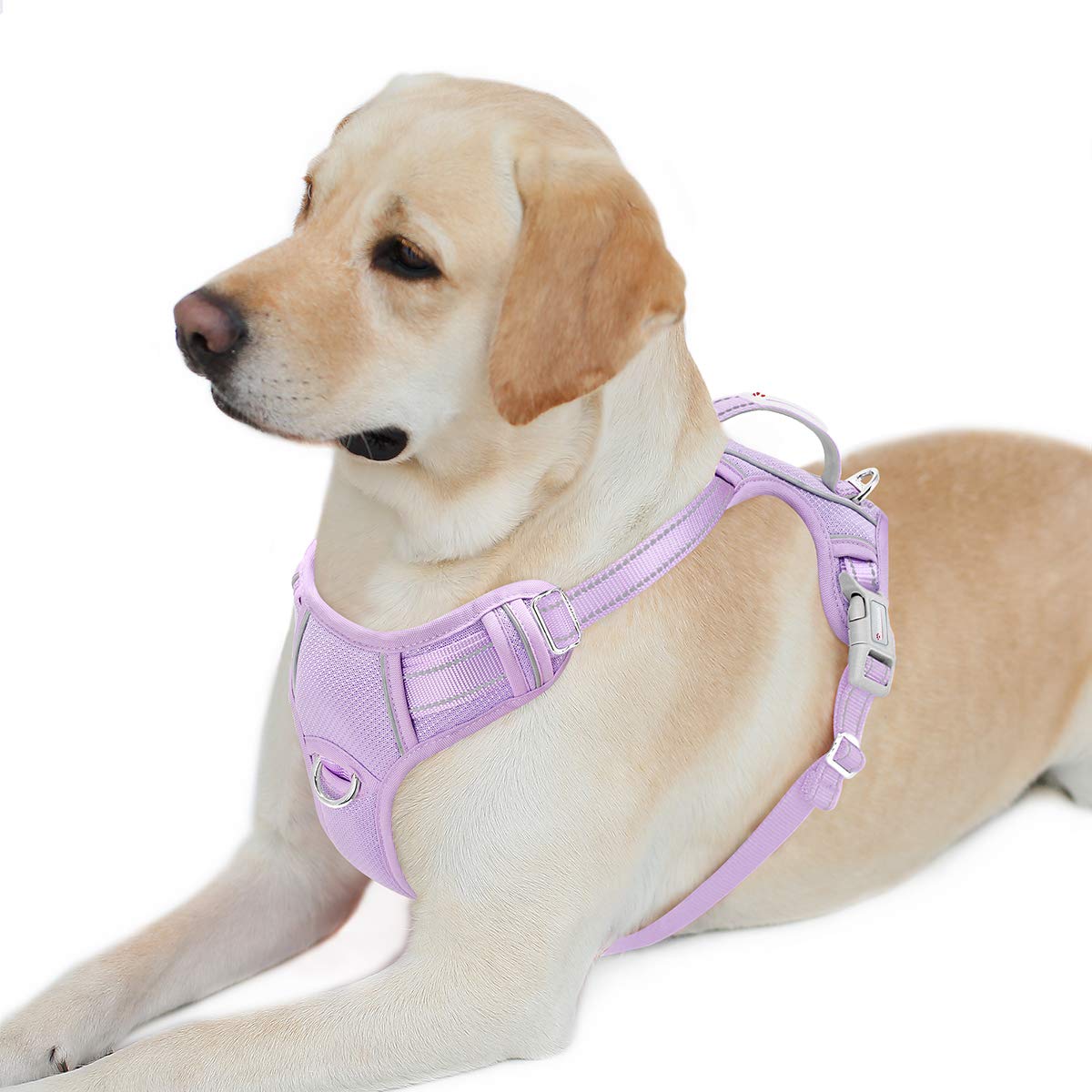 BARKBAY No Pull Dog Harness Front Clip Heavy Duty Reflective Easy Control Handle for Large Dog Walking with ID tag Pocket(Violet