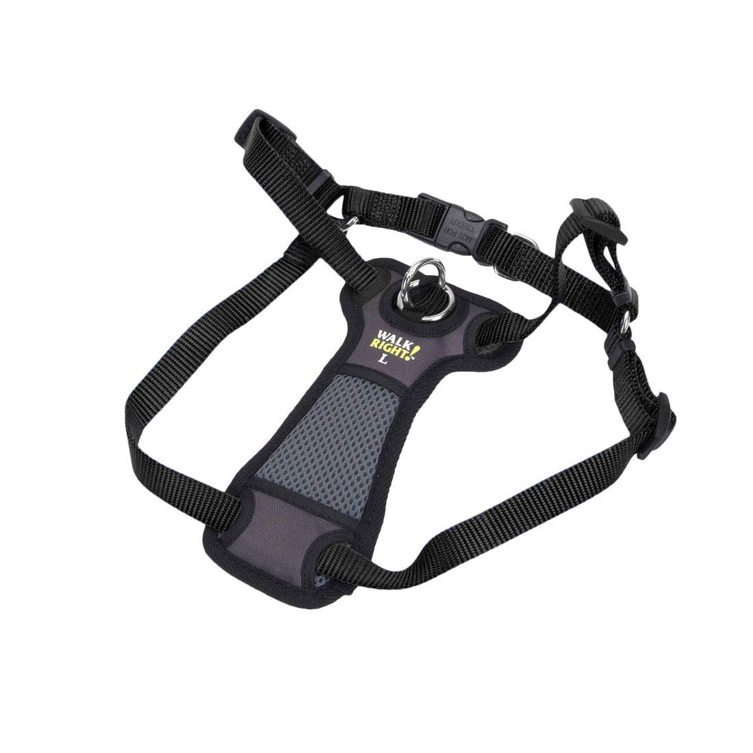 Coastal Pet Walk Right Front-Connect No-Pull Padded Dog Harness - Adjustable & Comfortable Dog Harness - Small & Large Breed Fit - Quality Pet Supplies - Black, Lrg (26'-38')