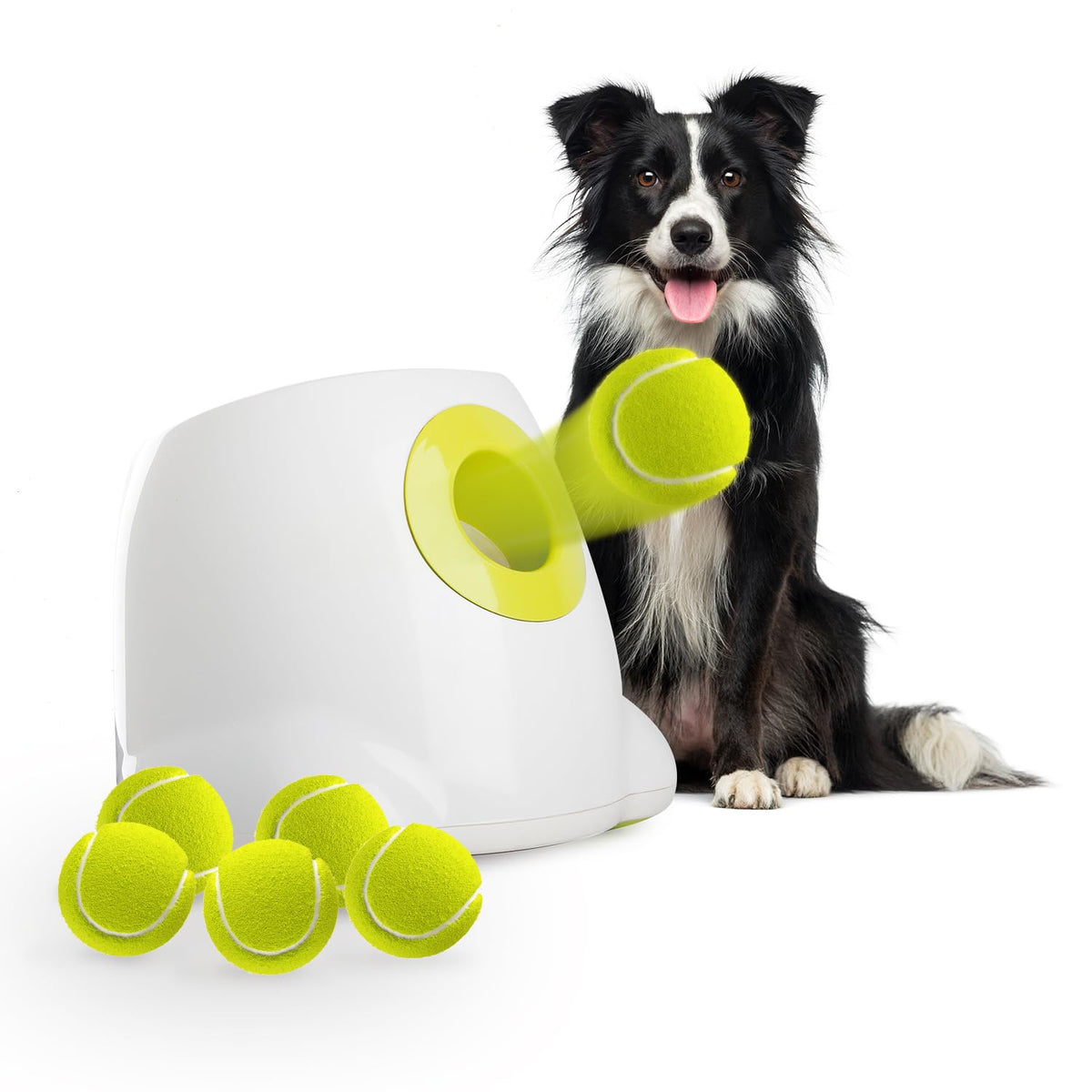 All For Paws Automatic Ball Thrower For Dogs, Interactive Dog Ball Launcher Machine, Rechargeable Fetch Toy With 6 Tennis Balls 