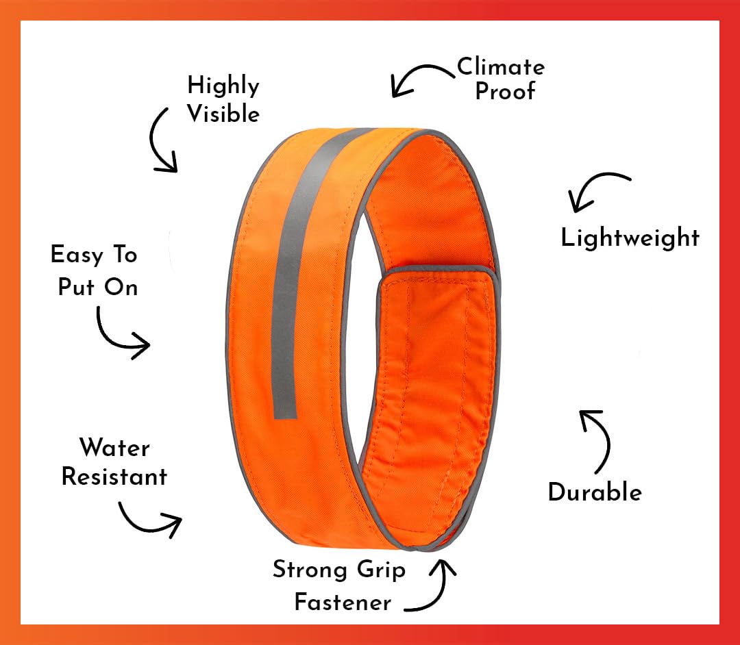 Spot The Dog! Reflective Dog Collar - Adjustable Pet Collars, Safe, Durable, Comfortable Dog Walking Accessories For Small Dog, Hunting Dog, Puppy, Lightweight Boy, Girl Dog Collars (Blaze Orange, S)