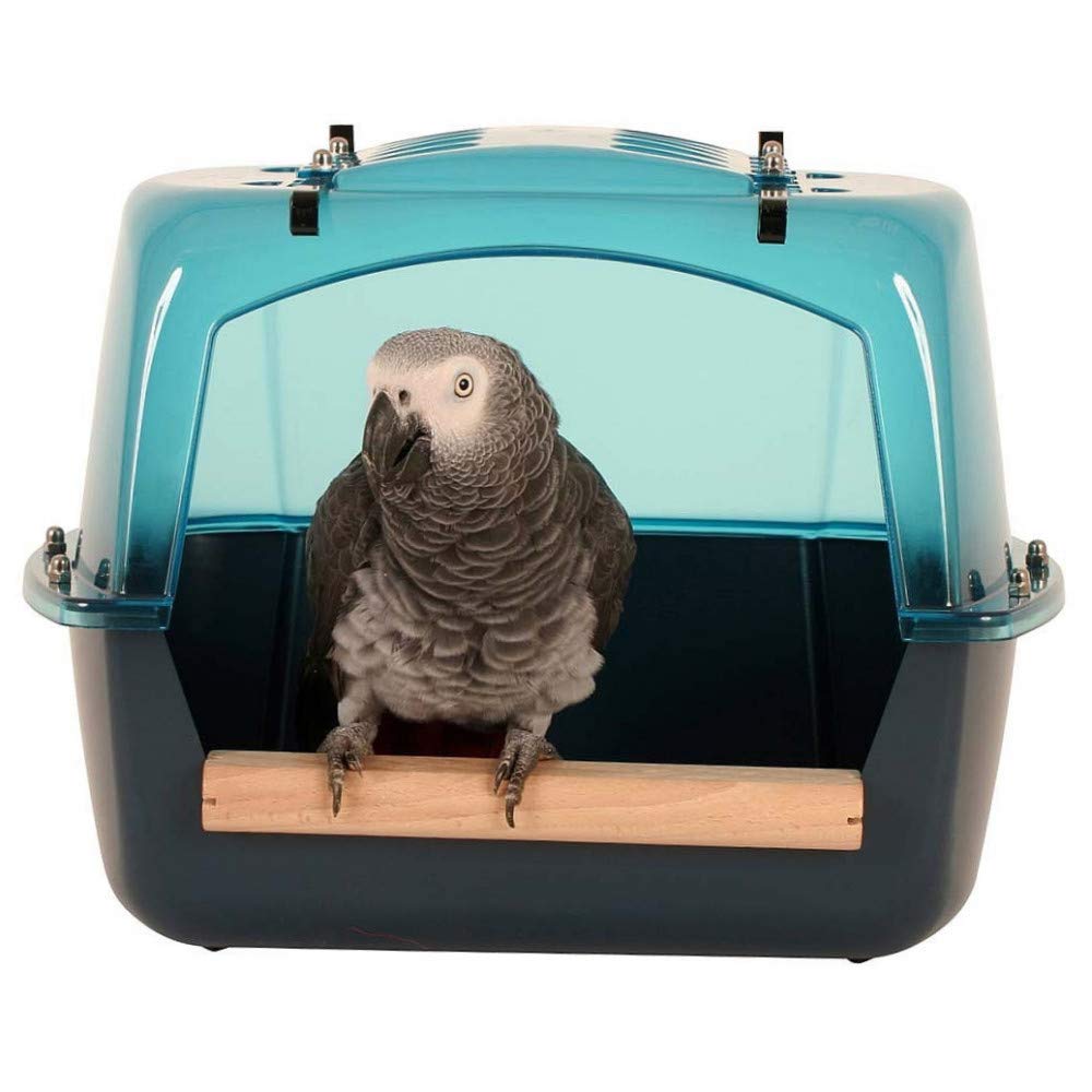 Savic Lixit Animal Care Splash Giant Bird Bath, Giant Splash (Xl) (71-0151-001)