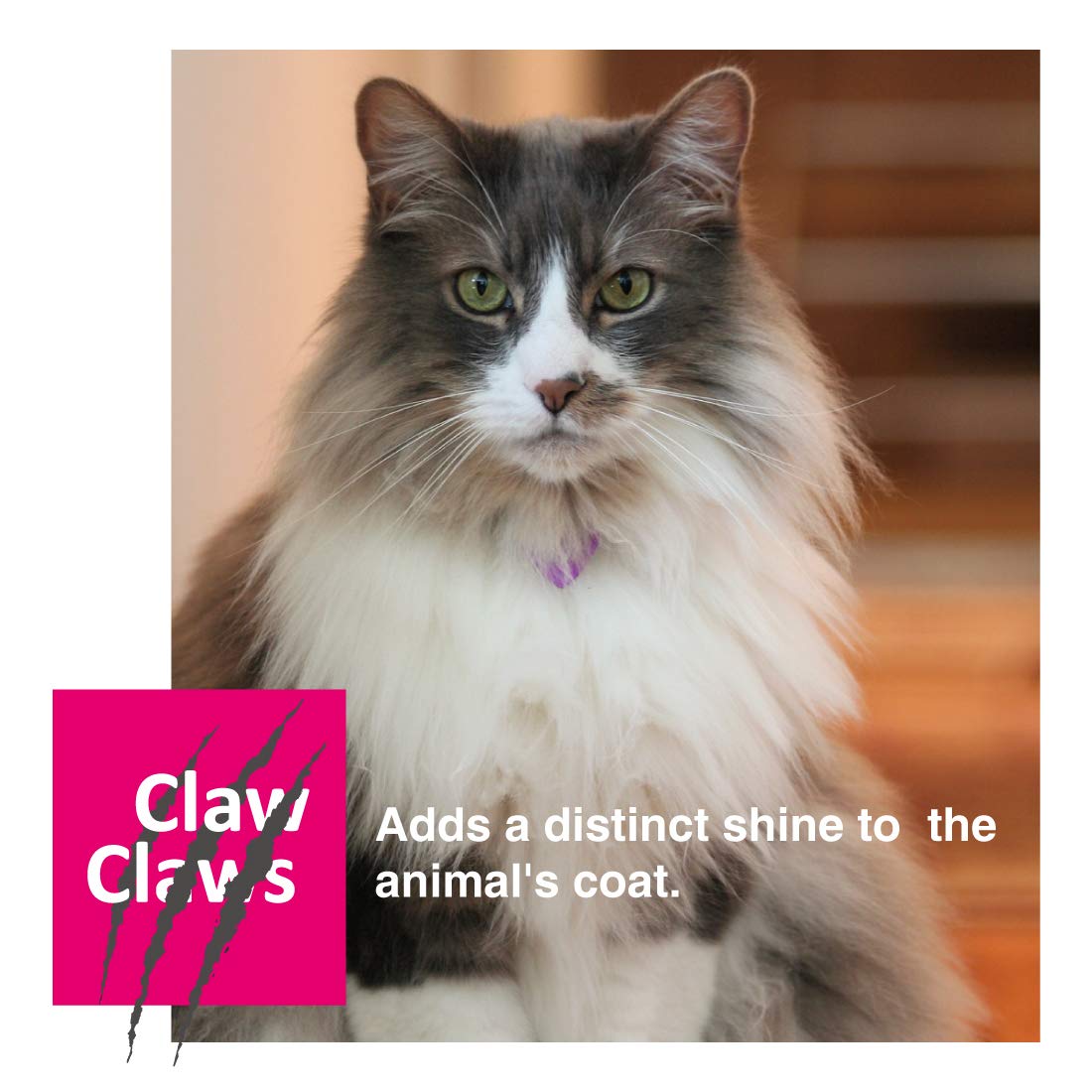 Claw Claws Pet Slicker Brush For Medium Dogs, Wooden Handle With Stainless Steel Soft Pins, Gently Remove Tangled, Loose Undercoat And Mats Hair, Pet Grooming Brush Tool (6.6')