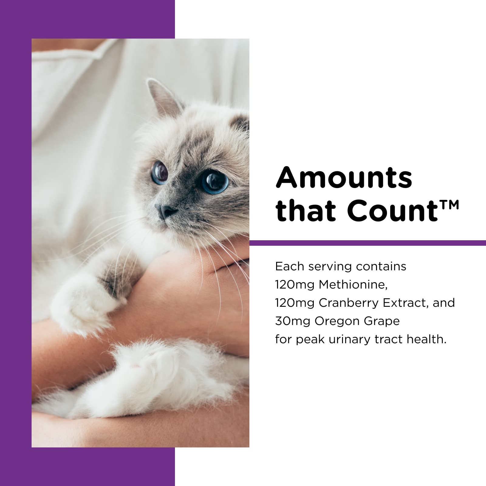 Nutri-Vet Uri-Ease Paw Gel for Cats, Probiotic & Prebiotic Kitten Supplies, Cranberry Supplement, Immune Support Supplement, Cat