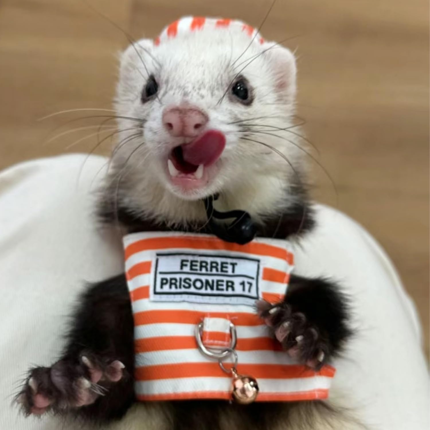 Ferret Harness And Leash - Adjustable Soft Cotton Small Pet Harness With Safe Bell, No Pull Comfort Padded Vest For Ferret, Guinea Pigs, Chinchilla And Similar Small Animals (Orange)