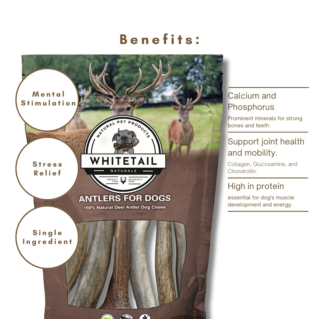 WhiteTail Naturals | Red Deer Antlers for Extra Large Dogs - (Jumbo-XXL) - Naturally Shed, Long Lasting Chew Bone for Aggressive