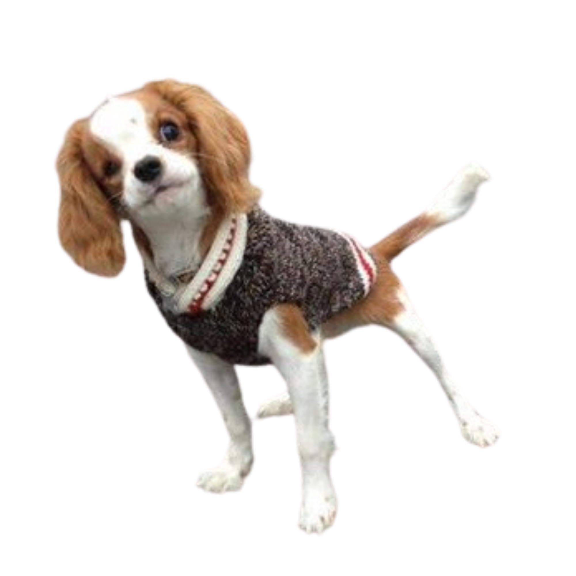 Boyfriend Dog Sweater (X-Large)