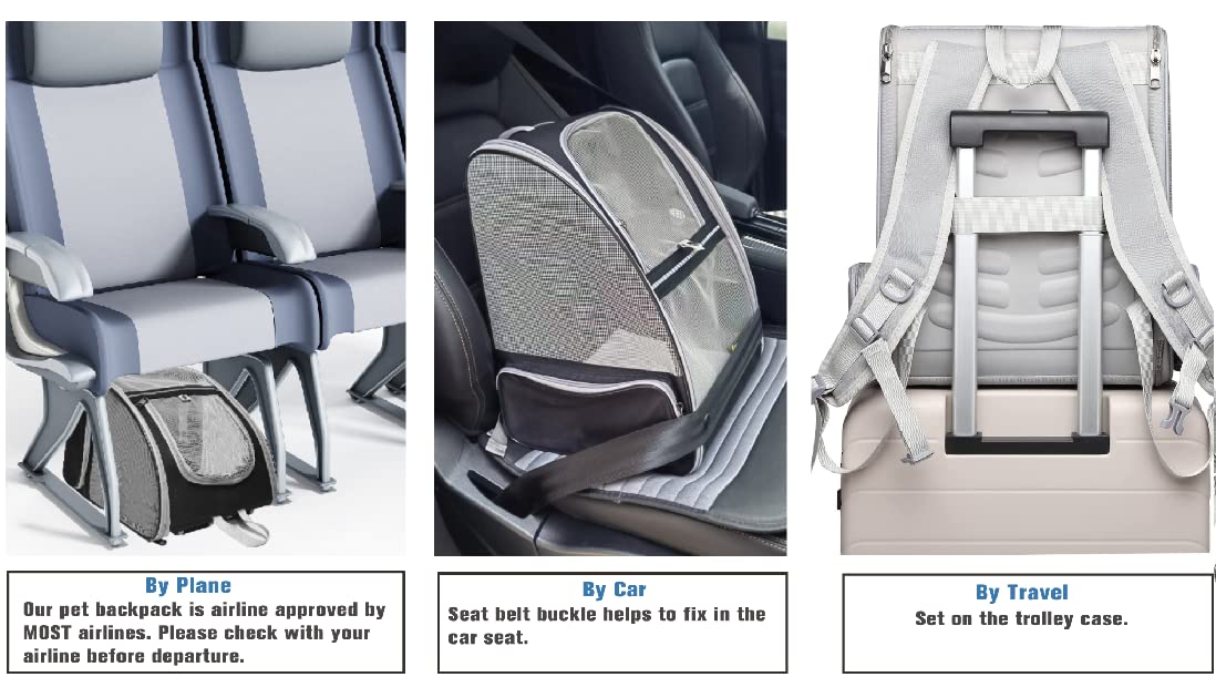 Texsens Innovative Traveler Bubble Backpack Pet Carriers For Cats And Dogs (Black)