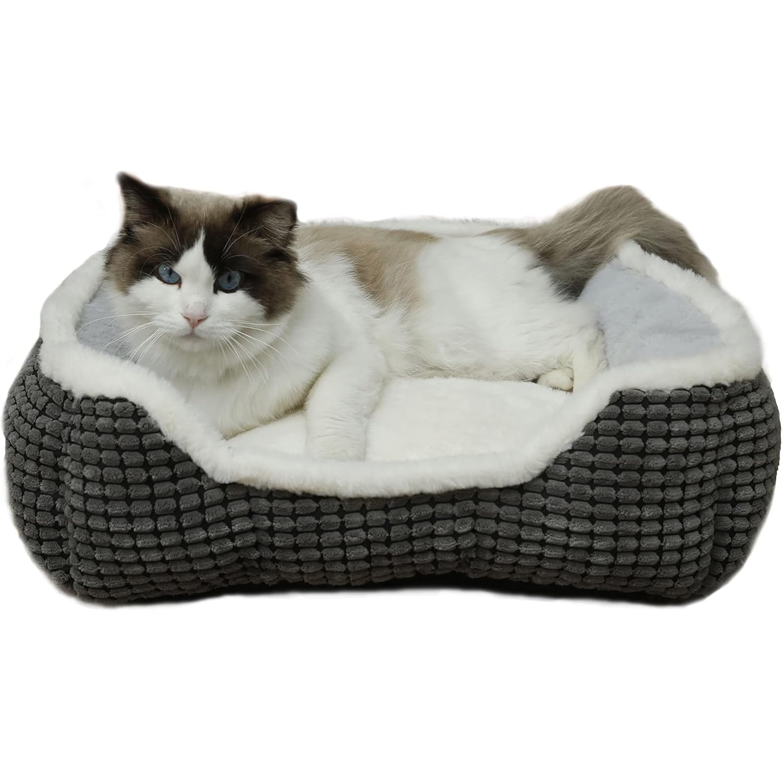 Dog Bed For Medium Dogs,Cute Cat Bed For Indoor Cats,Washabel Super Soft Durable Kitten Bed And Puppy Bed, Anti-Slip & Water-Res