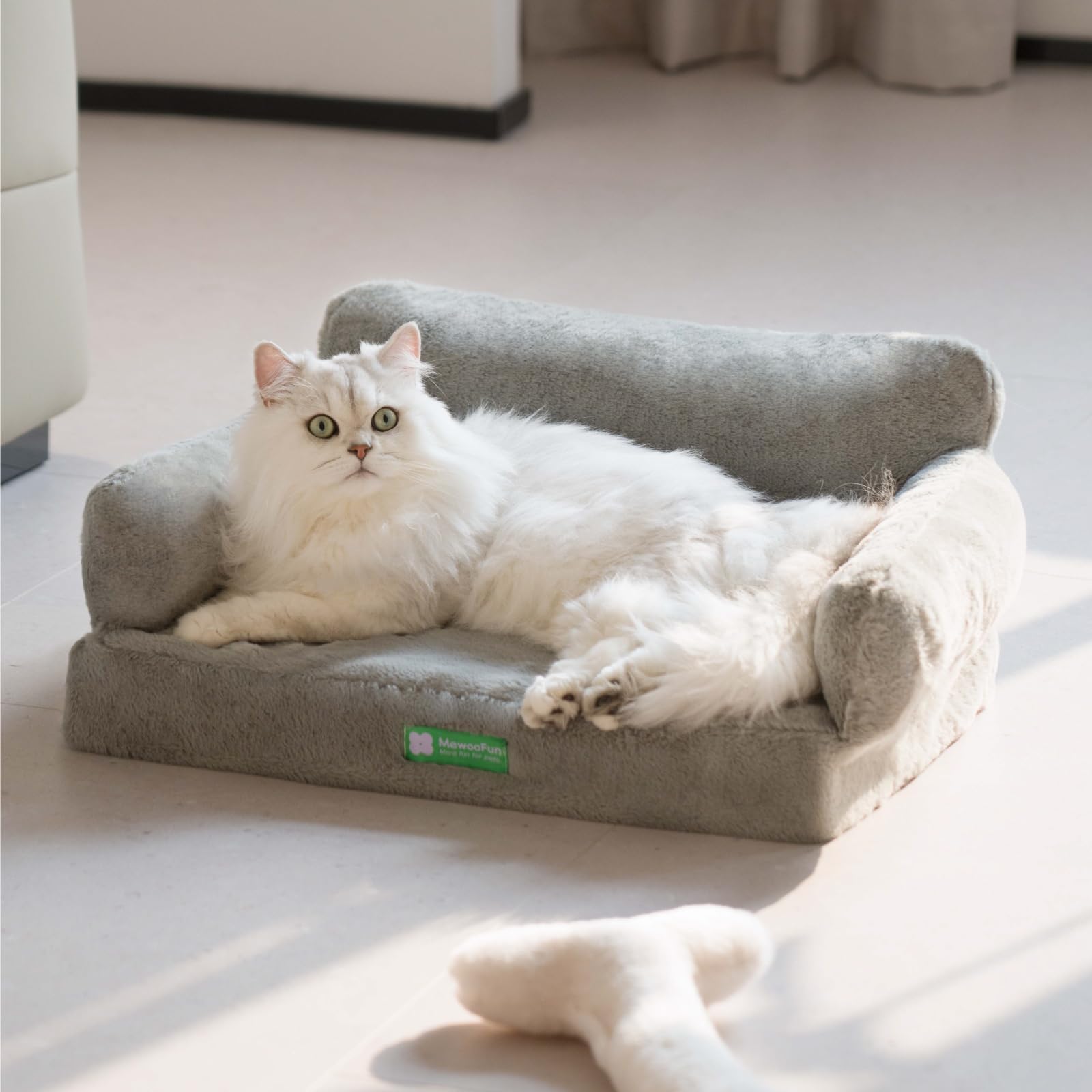 Mewoofun Cat Bed For Indoor Cats Orthopedic Dog Bed For Small Medium Dogs, Egg- Foam Pet Bed With Removable Washable Cover And N