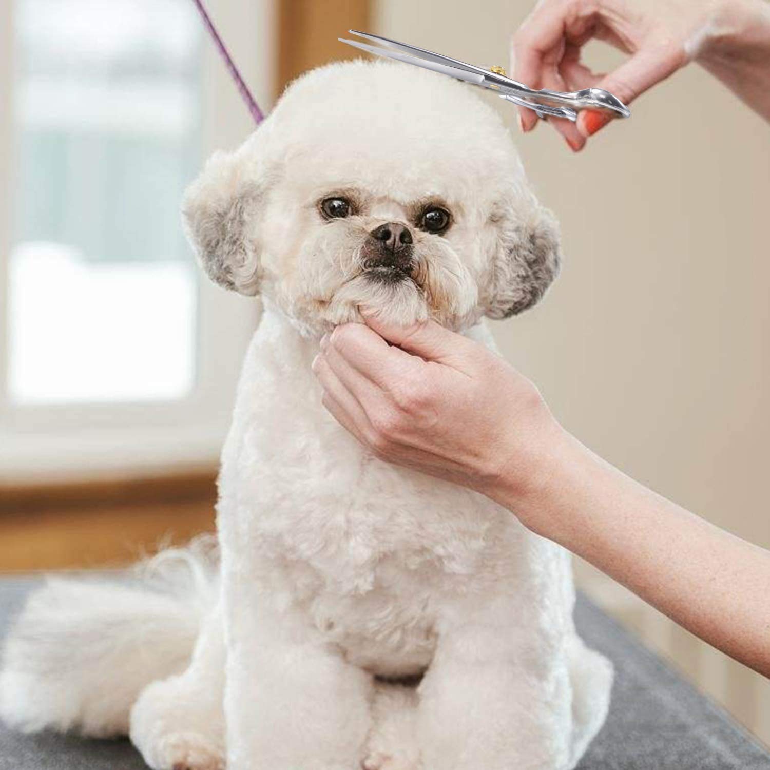 Dream Reach Professional Dog Grooming Straight, Curved, Thinning/Blending/Chunking Scissors Kit, Jp-440C Stainless Steel Pet Cat Hair Cutting/Trimming Shears (7 Inch-Straight Scissors)