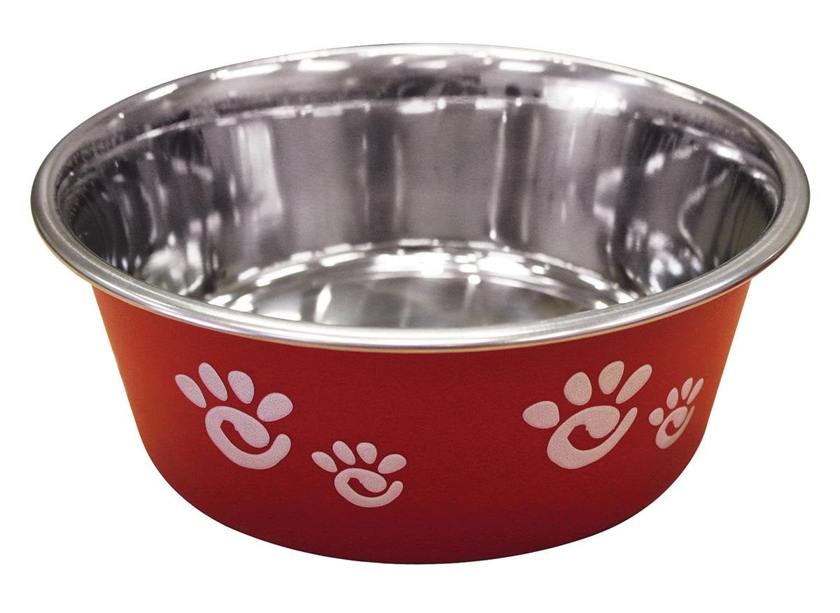 Ethical Pet Barcelona Matte And Stainless Steel Pet Dish, 32-Ounce, Raspberry