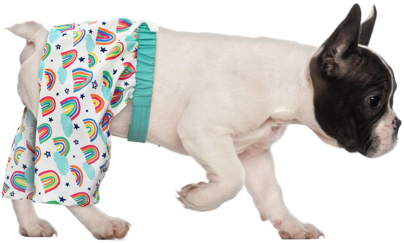 Hde Dog Swim Trunks Hawaiian Board Shorts Beach Pool Swimsuit For Xs To Xxl Dogs Rainbows - S