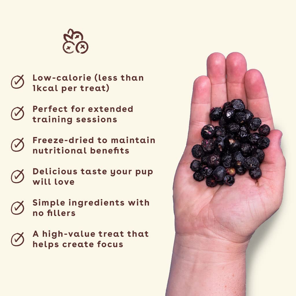 Pupford Freeze Dried Training Treats for Dogs & Puppies, 425+ One Ingredient Bites (Blueberry, 2 oz)