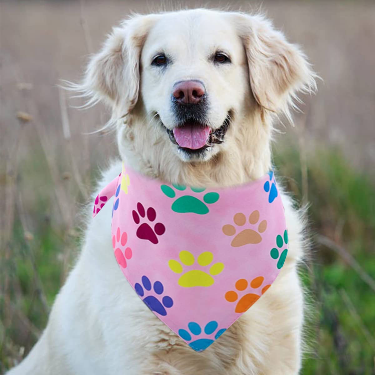 Pet Show 4 Pack Paw Print Big Dog Bandanas Set Girl Boy Reversible Adjustable Dogs Scarves Cat Daily Birthday Party Triangle Bibs Grooming Accessories For Medium Large Dogs Puppies Pets