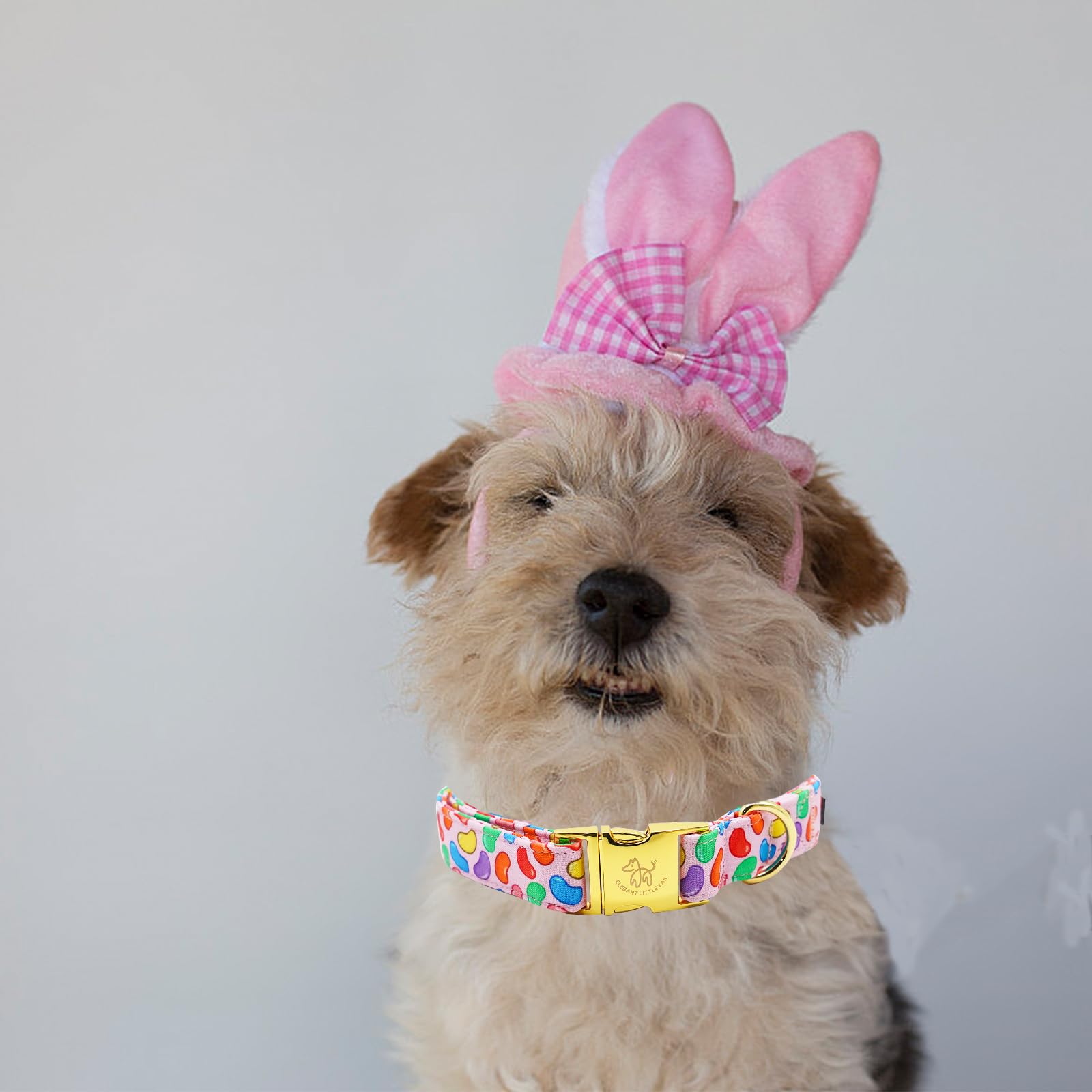 Elegant little tail Easter Dog Collar, Colorful Candy Print Pet Collar Dogs Cute Pink Dog Collar Boy Girl Dog Collars Pet Gift A