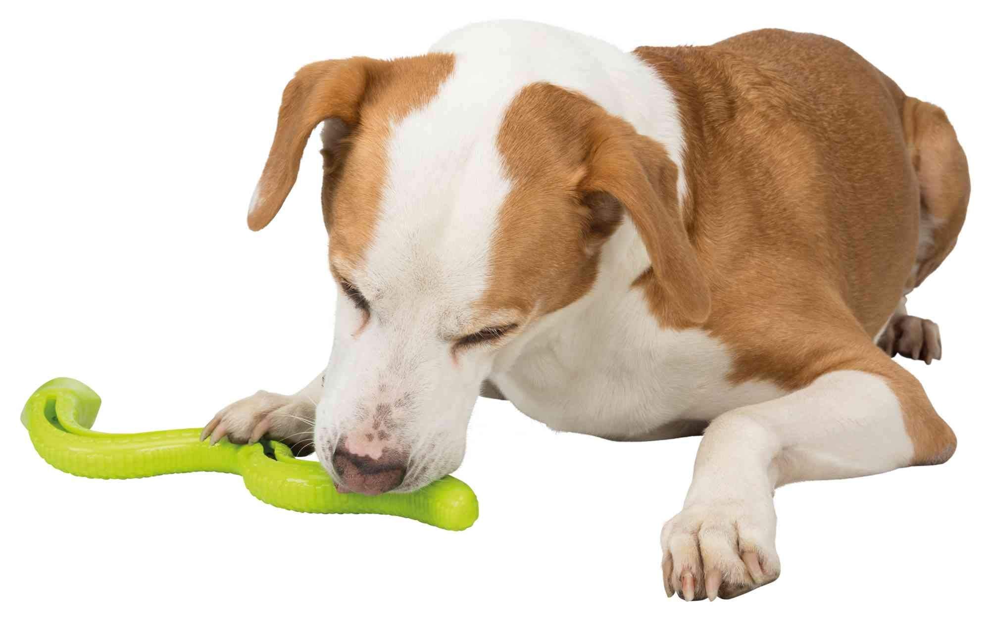 Trixie Snack Snake Dog Puzzle Toy for Dogs, Dog Enrichment Toy, Interactive Chew Toy, Treat Dispenser, 16.5'' (42cm)